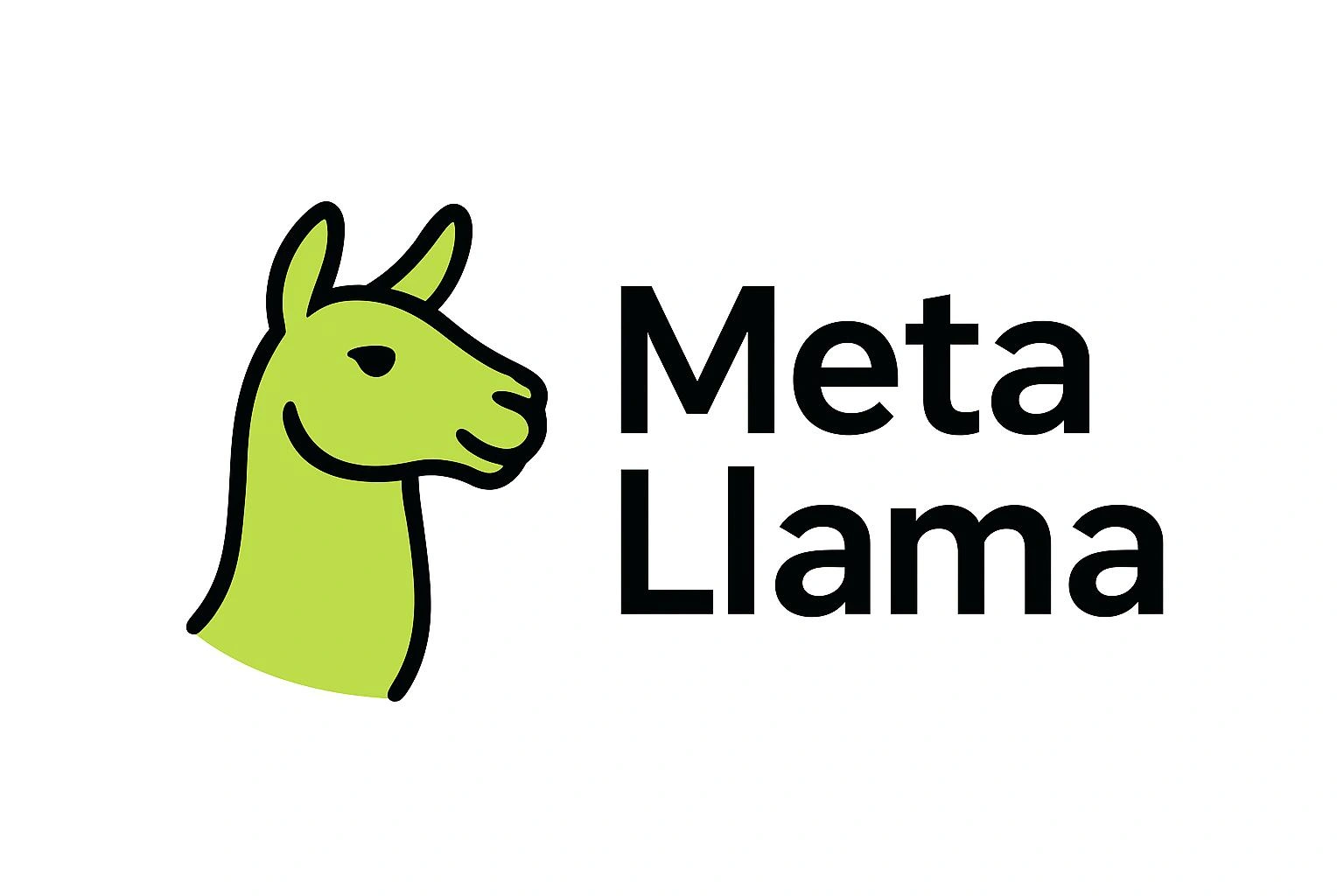 Meta Llama